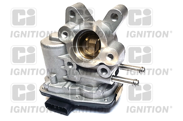 EGR Valve (XEGR246)