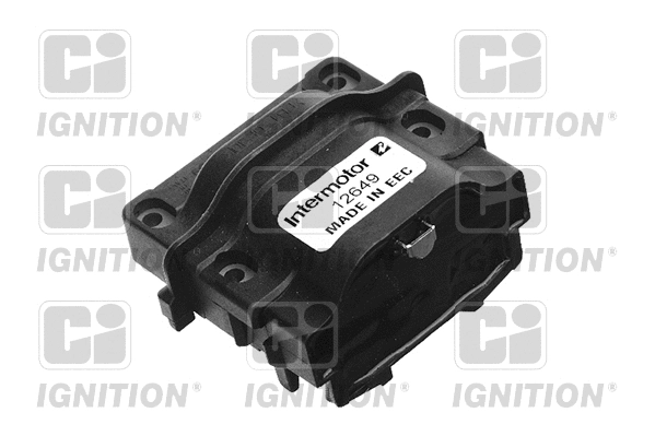 Ignition Coil (XIC8141)