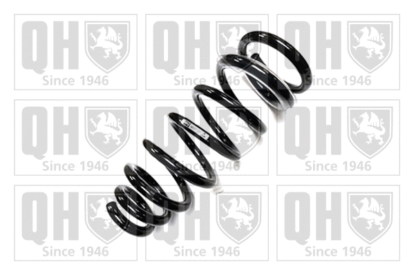 Suspension Spring (QCS7198)