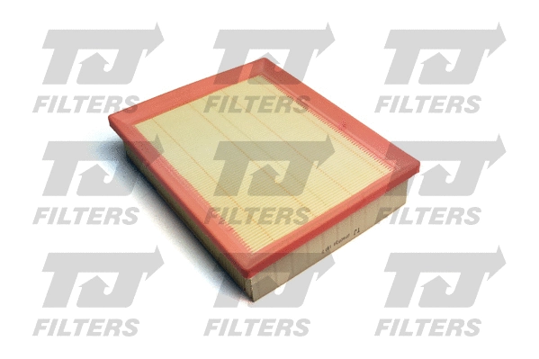 Air Filter (QFA0839)