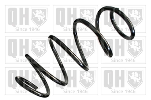 Suspension Spring (QCS8299)