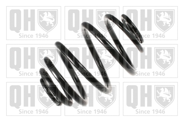 Suspension Spring (QCS6049)