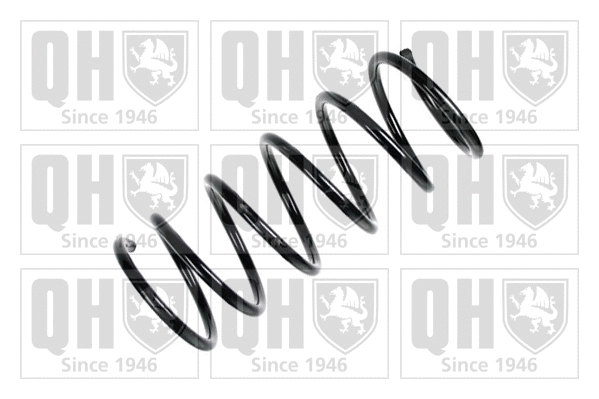 Suspension Spring (QCS5048)