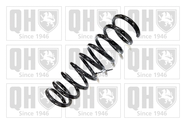 Suspension Spring (QCS7218)