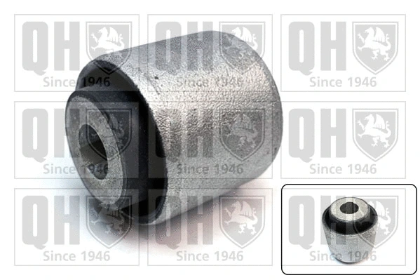 Mounting, control/trailing arm (EMS8787)