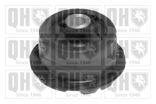 Bushing, axle beam (EMS8294)
