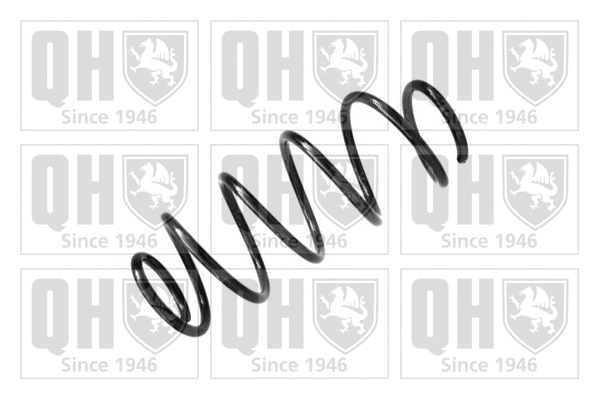 Suspension Spring (QCS7789)
