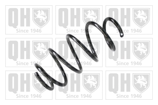 Suspension Spring (QCS7559)