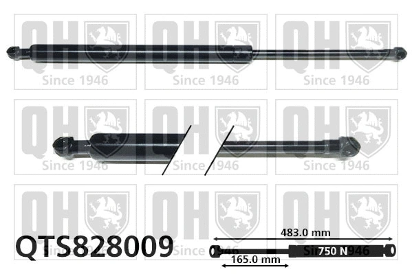 Gas Spring, boot/cargo area (QTS828009)
