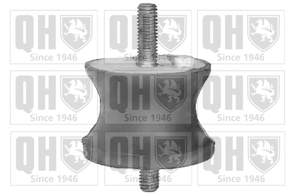 Mounting, engine (EM4076)