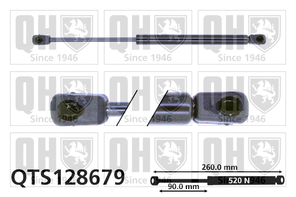 Gas Spring, boot/cargo area (QTS128679)