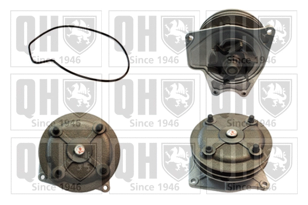 Water Pump, engine cooling (QCP3466)