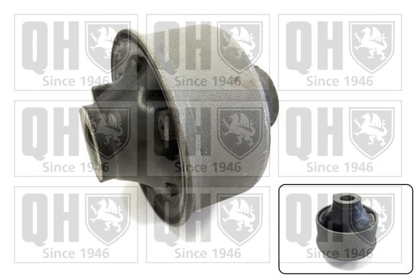 Mounting, control/trailing arm (EMS8044)