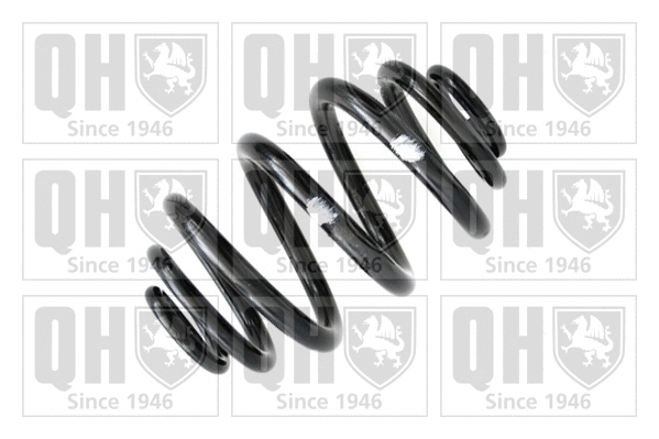 Suspension Spring (QCS7001)