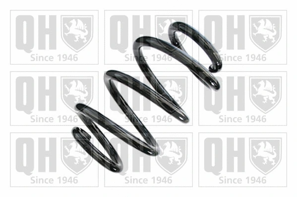 Suspension Spring (QCS8749)