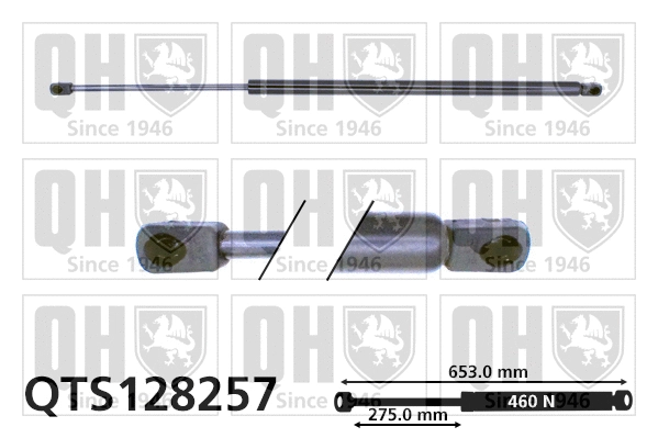 Gas Spring, boot/cargo area (QTS128257)