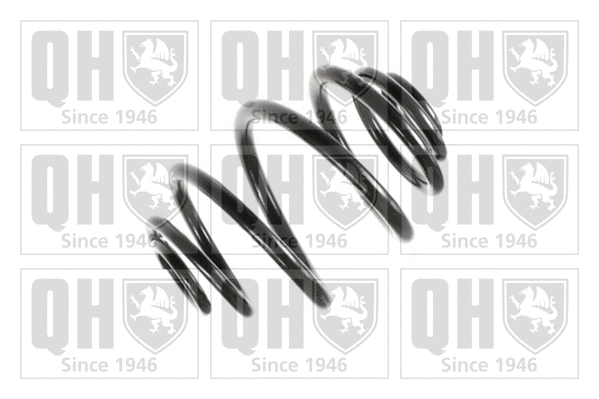 Suspension Spring (QCS6882)