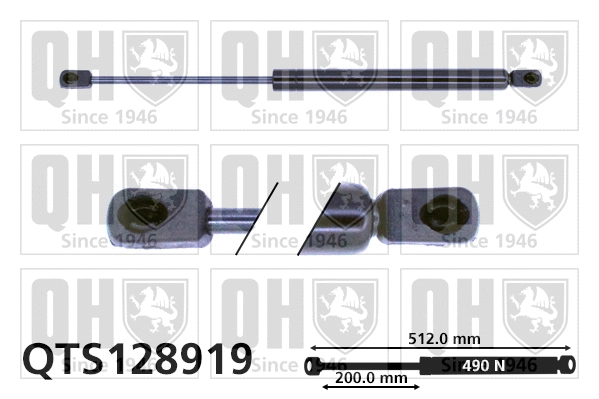 Gas Spring, boot/cargo area (QTS128919)