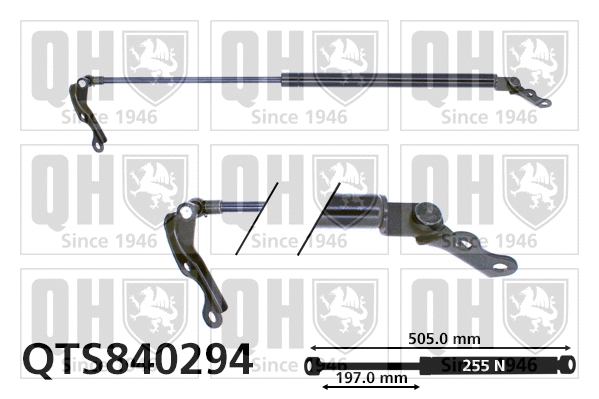 Gas Spring, boot/cargo area (QTS840294)