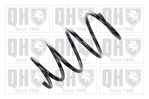 Suspension Spring (QCS8187)