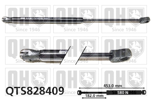 Gas Spring, boot/cargo area (QTS828409)