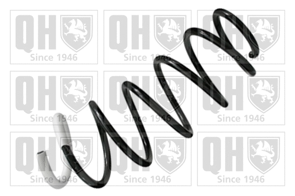 Suspension Spring (QCS7106)