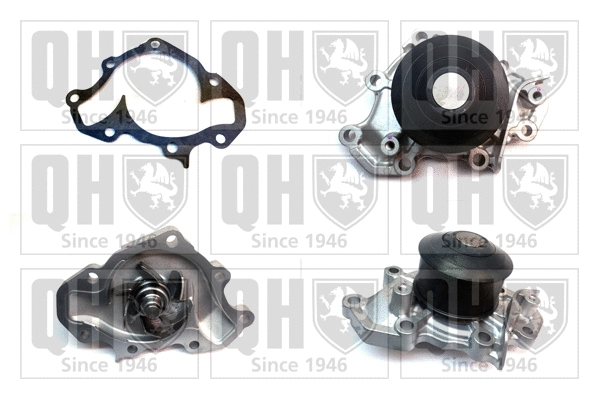 Water Pump, engine cooling (QCP3280)