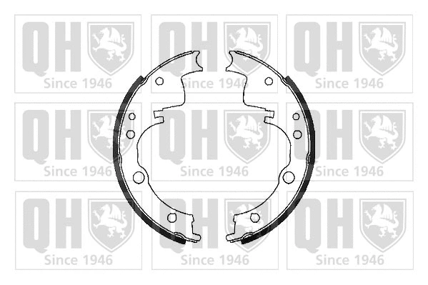 Brake Shoe Set (BS989)