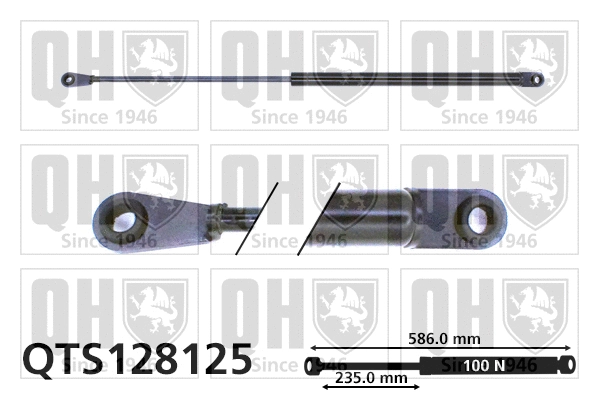 Gas Spring, boot/cargo area (QTS128125)