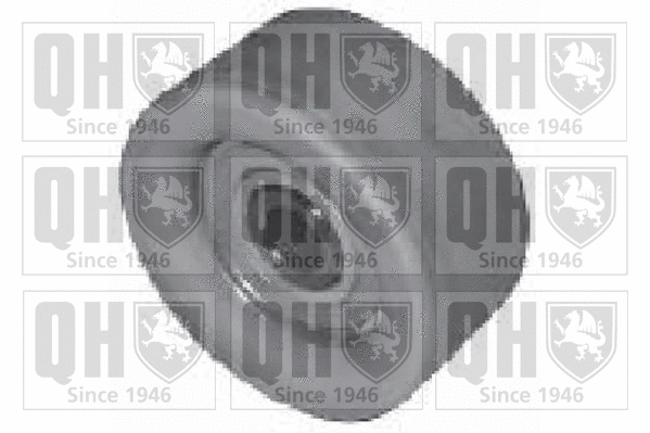 Deflection/Guide Pulley, timing belt (QTT1185)