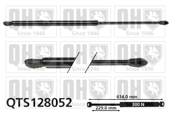 Gas Spring, boot/cargo area (QTS128052)