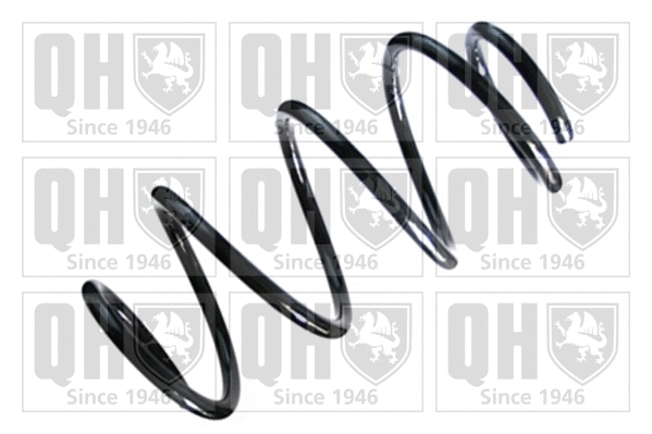 Suspension Spring (QCS7932)