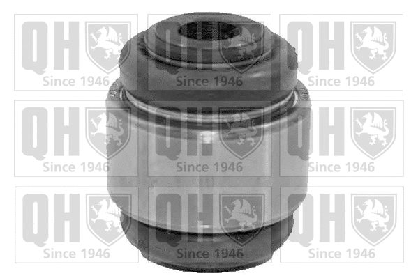 Mounting, control/trailing arm (EMS8343)