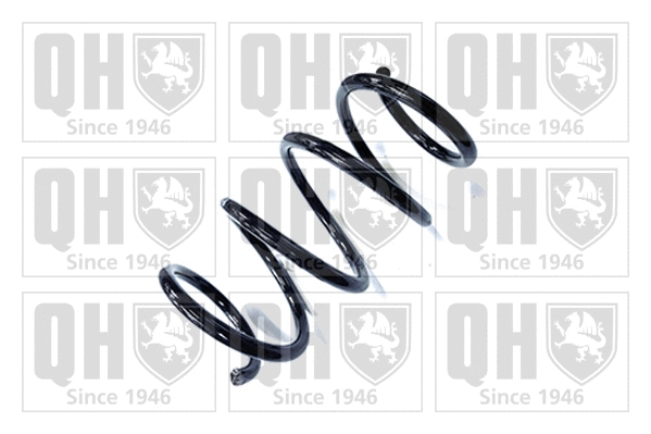 Suspension Spring (QCS8976)