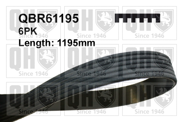 V-Ribbed Belt (QBR61195)