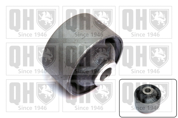 Mounting, control/trailing arm (EMS8461)