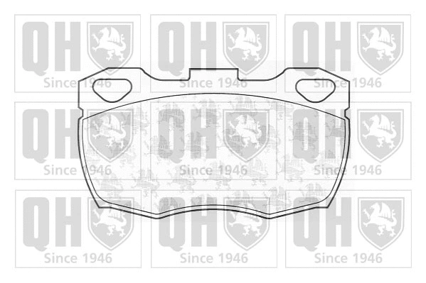 Brake Pad Set, disc brake (BP447)