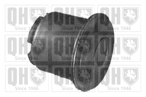 Mounting, control/trailing arm (EMS1994)