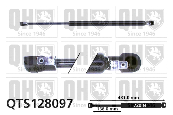Gas Spring, boot/cargo area (QTS128097)