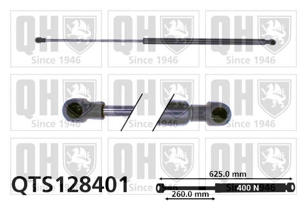 Gas Spring, boot/cargo area (QTS128401)