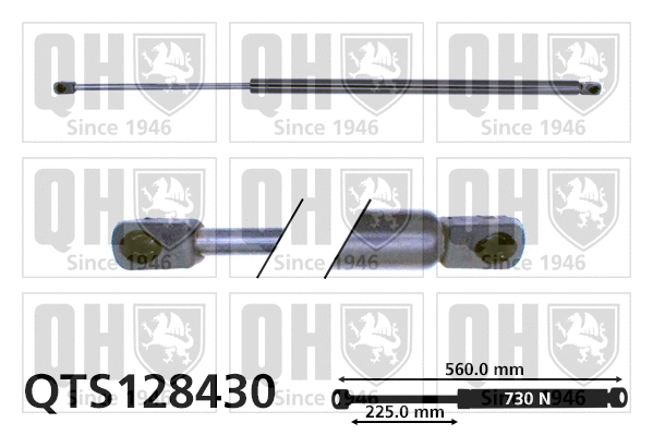 Gas Spring, boot/cargo area (QTS128430)