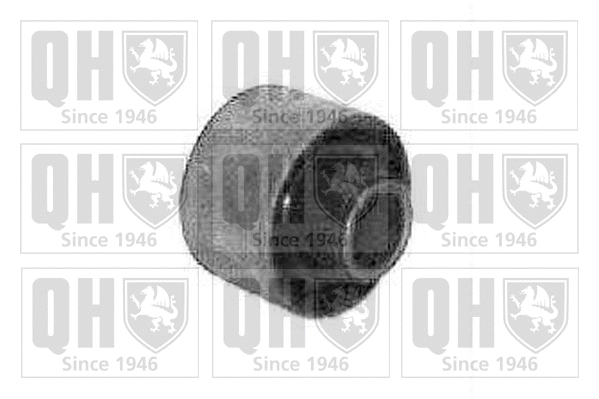 Mounting, control/trailing arm (EMS2182)
