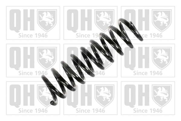 Suspension Spring (QCS6720)