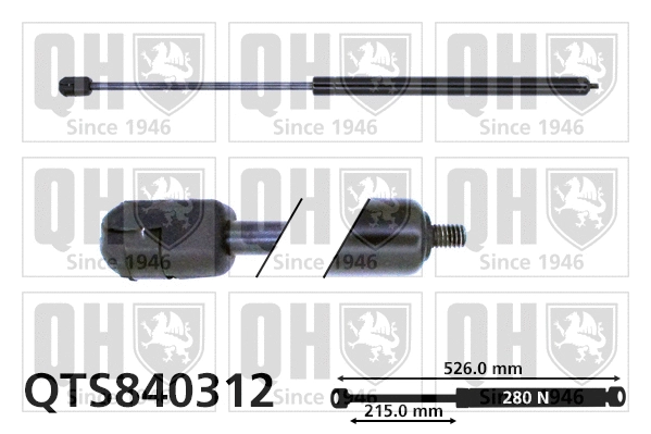 Gas Spring, bonnet (QTS840312)