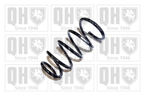 Suspension Spring (QCS6470)
