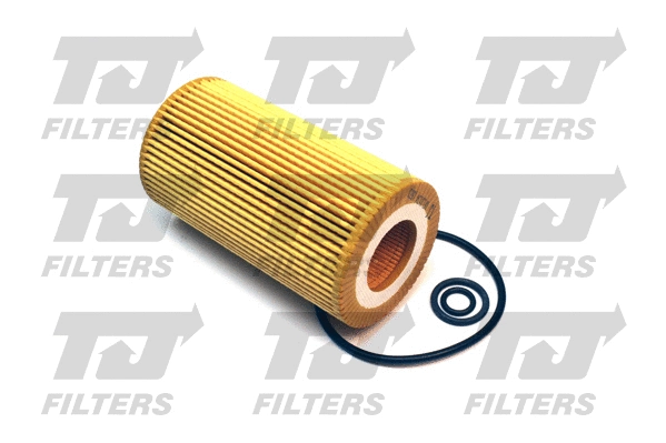 Oil Filter (QFL0134)