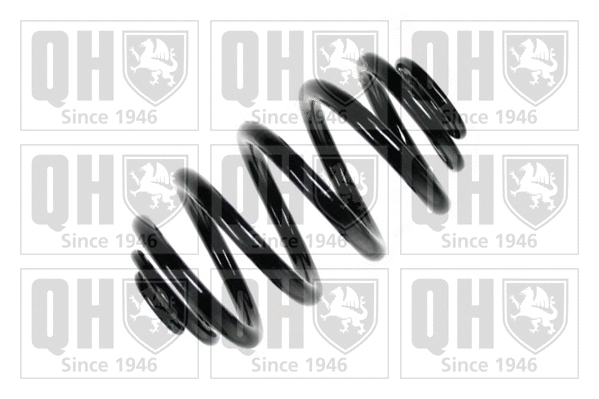 Suspension Spring (QCS6024)