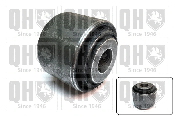 Mounting, control/trailing arm (EMS8659)