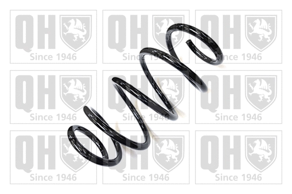 Suspension Spring (QCS7005)
