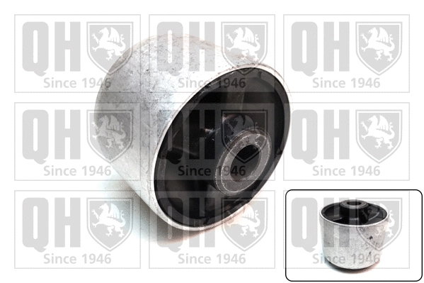 Mounting, control/trailing arm (EMS8509)